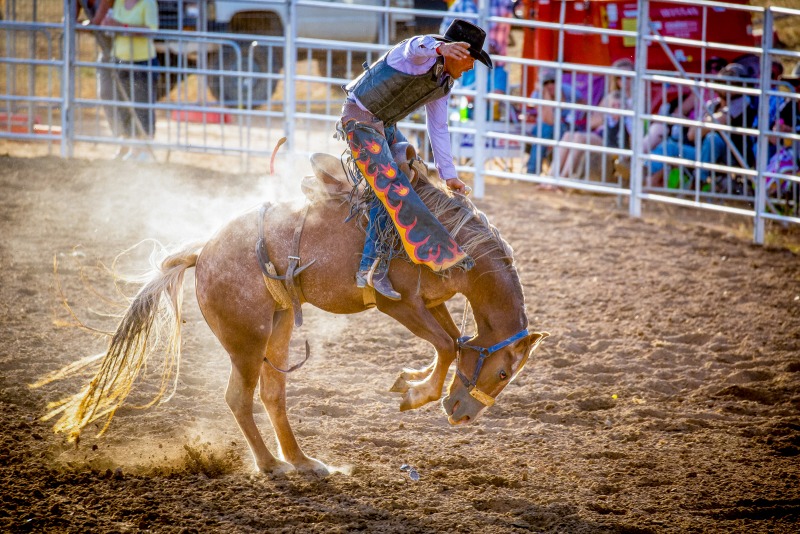 Sports & Event Photography