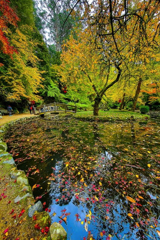 Landscape Photography