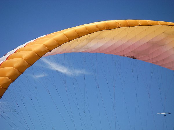 AJ's Wing Tandem.JPG