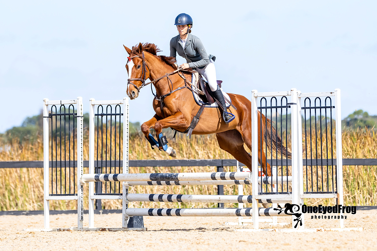 2023 April Showjumping Ring 2 Boneo Park Equestrian Event Photography