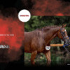 Commercial Clients & Editorial Publications