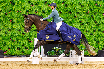 Dressage Jumping with the Stars